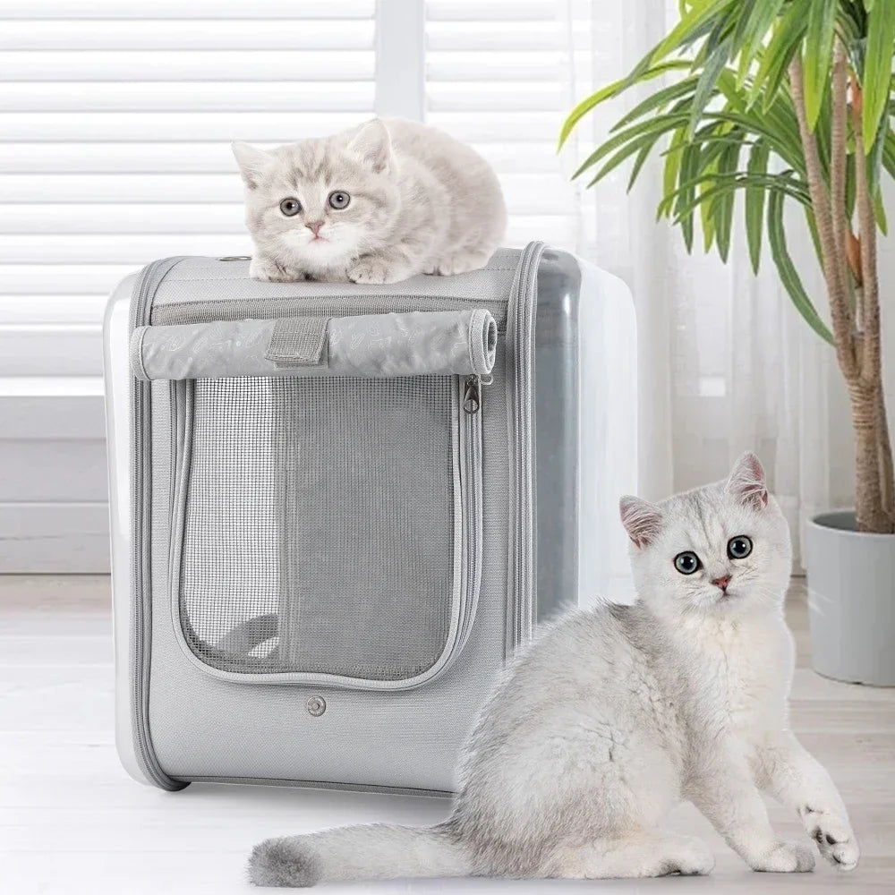Large Pet Backpack Carrier – Ventilated Cat & Dog Carrier, Supports Up to 17 lbs, Ideal for Small Dogs